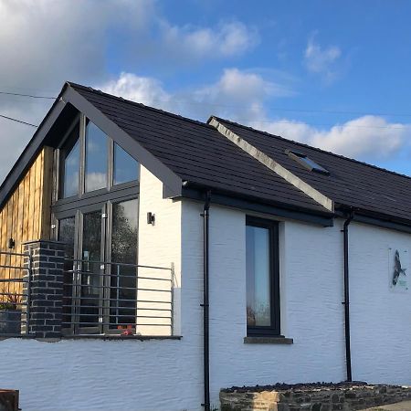 Red Kite Cottage Carmarthen Exterior foto
