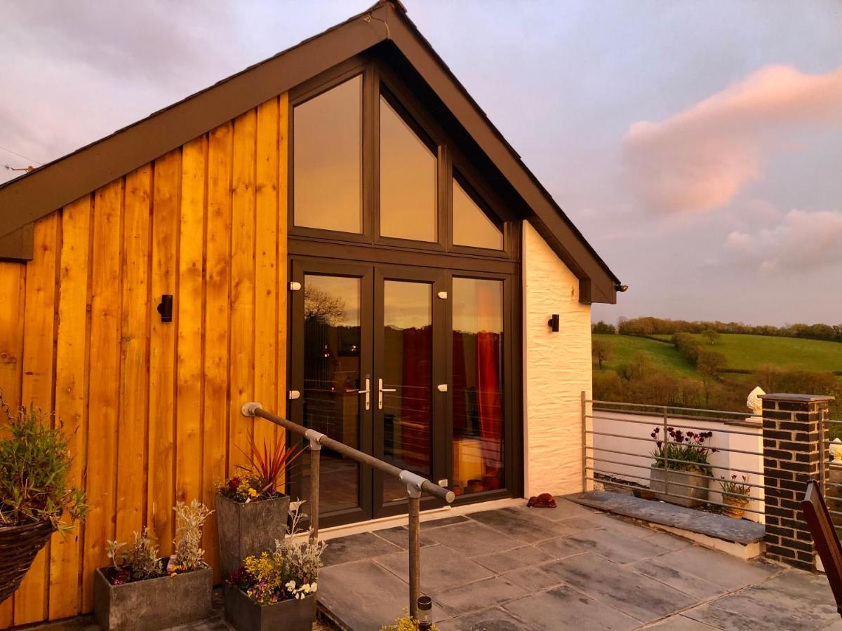 Red Kite Cottage Carmarthen Exterior foto