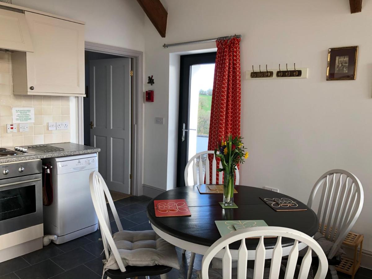 Red Kite Cottage Carmarthen Exterior foto