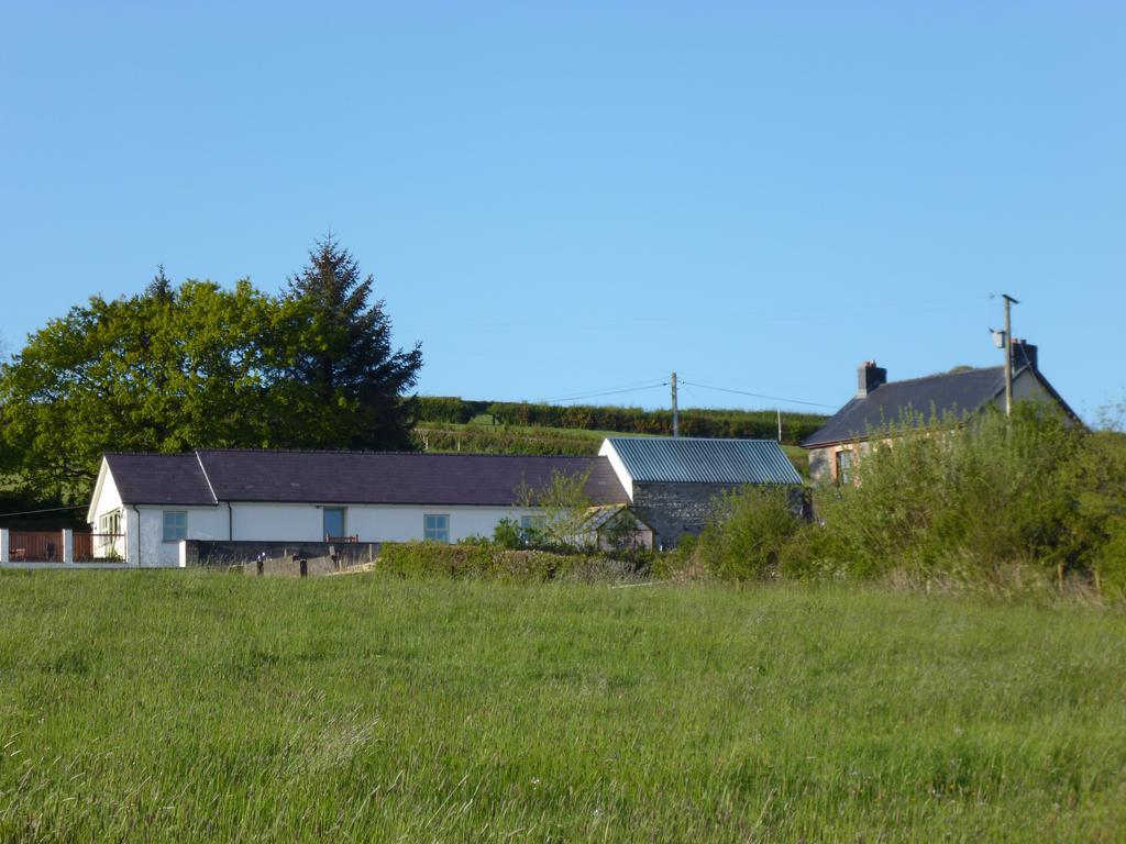 Red Kite Cottage Carmarthen Exterior foto